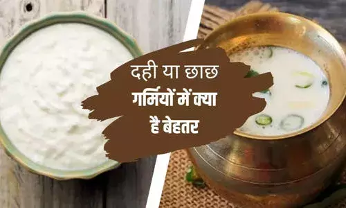 मट्ठा व दही, क्या है सेहत के लिए मुफीद मट्ठा व दही, क्या है सेहत के लिए मुफीद