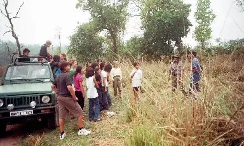 हरिद्वार: दो दिन बाद खुलेगी जंगल सफारी, चिल्ला के जंगलों में जानवर देख सकेंगे सैलानी