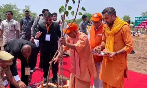 World Environment Day: सीएम योगी ने लगाया हरिशंकरी पौधा, दिया पर्यावरण संरक्षण का संदेश