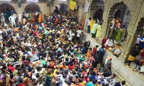 Mathura News: निधिवन राज मंदिर में श्रद्धालुओं की भारी भीड़ का असर इस बार सेवा पूजा का ठेका 8.22 करोड़ में उठा।