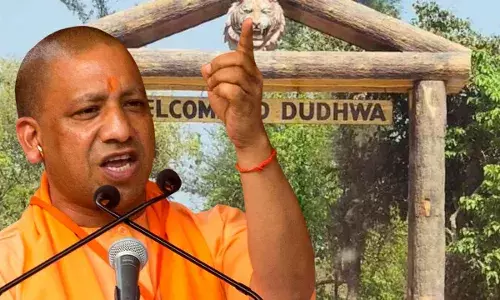 एक्शन में सीएम योगी : दुधवा में 10 दिन में तीन बाघों की मौत पर सीएम योगी सख्त, जांच के आदेश, वन मंत्री मौके पर एक्शन में सीएम योगी : दुधवा में 10 दिन में तीन बाघों की मौत पर सीएम योगी सख्त, जांच के आदेश, वन मंत्री मौके पर