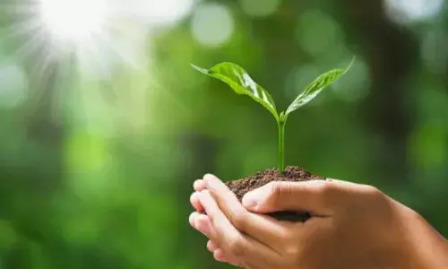 औरैया--औरैया में 5100 पौधो का होगा पौधारोपण:जीवनधारा पौधारोपण अभियान के अंतर्गत पार्क में रोपे गए पौधे, देखभाल के लिए लोगों को सौंपी गई की जिम्मेदारी