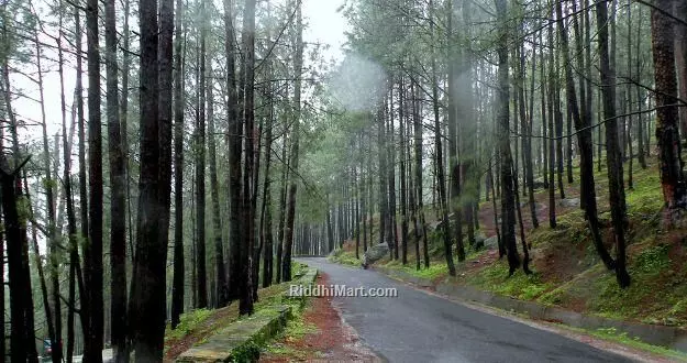 ...तो क्या बदल जाएगा लैंसडाउन का नाम? लोग बोले- बदलना है तो गुलामी का कानून बदलो ...तो क्या बदल जाएगा लैंसडाउन का नाम? लोग बोले- बदलना है तो गुलामी का कानून बदलो