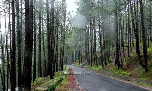 ...तो क्या बदल जाएगा लैंसडाउन का नाम? लोग बोले- बदलना है तो गुलामी का कानून बदलो ...तो क्या बदल जाएगा लैंसडाउन का नाम? लोग बोले- बदलना है तो गुलामी का कानून बदलो