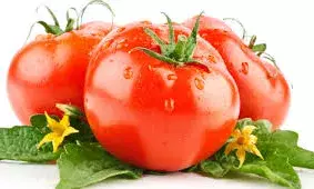 टमाटर रहेगा महंगा: 20 दिनों तक नहीं मिलेगी राहत, अन्य सब्जियों के दाम भी बढ़े आसमान टमाटर रहेगा महंगा: 20 दिनों तक नहीं मिलेगी राहत, अन्य सब्जियों के दाम भी बढ़े आसमान