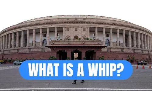 व्हिप क्या है: व्हिप क्या है, जिससे विधायक बंधे होते हैं; अजित पवार के लिए यह कैसे गले की फांस बन सकता है? व्हिप क्या है: व्हिप क्या है, जिससे विधायक बंधे होते हैं; अजित पवार के लिए यह कैसे गले की फांस बन सकता है?