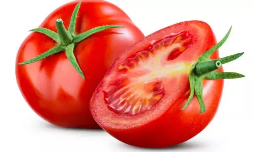 उत्तराखंड समाचार: आज से मिलेगा टमाटर, यहां लगेंगे चार काउंटर, मंडी समितियों को दी गई ये काम करने की सलाह