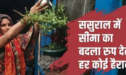 लव स्टोरी: सीमा हैदर ने तुलसी को जल चढ़ाकर की पूजा, गले में डाला राधे-राधे का पट्टा, लगाए जय श्रीराम के नारे