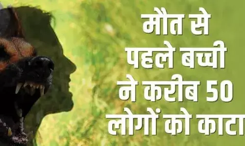 UP: पागल कुत्ते के काटने से ढाई साल की बच्ची की मौत; मरने से पहले मासूम ने 50 लोगों को काट कर घायल कर दिया UP: पागल कुत्ते के काटने से ढाई साल की बच्ची की मौत; मरने से पहले मासूम ने 50 लोगों को काट कर घायल कर दिया