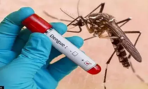 दिल्ली: घरों में मच्छर पालने पर लगेगा भारी जुर्माना, डेंगू के बढ़ते मामलों के बीच सरकार का फैसला दिल्ली: घरों में मच्छर पालने पर लगेगा भारी जुर्माना, डेंगू के बढ़ते मामलों के बीच सरकार का फैसला