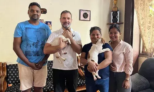 राहुल गांधी के घर आया नया मेहमान, ज़ेलेंस्की से है संबंध