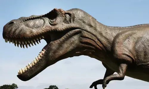 डायनासोरों का अंत: प्राचीन जीवन की एक रहस्यमय कहानी