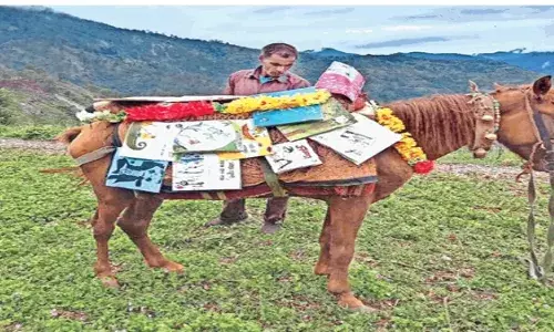 नैनीताल में शुरू हुई घोड़ा लाइब्रेरी.. नैनीताल में शुरू हुई घोड़ा लाइब्रेरी..