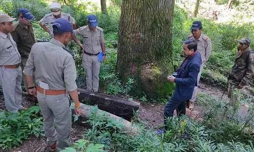 उत्तराखंड: पेड़ों की हत्या कर जंगल में गाड़ दिए थे हथियार, बुलाए गए पेशेवर, अब ढूंढे जा रहे सुराग उत्तराखंड: पेड़ों की हत्या कर जंगल में गाड़ दिए थे हथियार, बुलाए गए पेशेवर, अब ढूंढे जा रहे सुराग