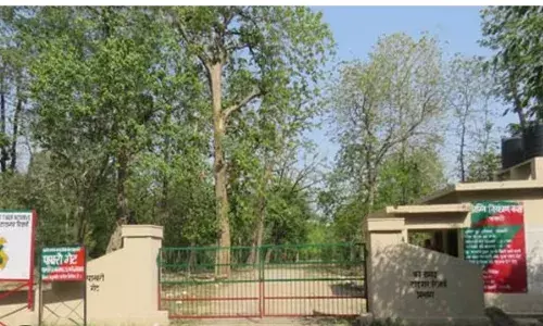 उत्तराखंड:  हरे पेड़ों को काटने का मामला ! निष्पक्ष जांच हुई तो नपेंगे सचिवालय के कई अधिकारी