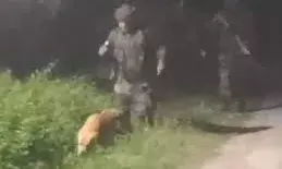 Jammu-Kashmir_अनंतनाग में घिरे लश्कर के दो आतंकी, तलाशी के लिए ड्रोन और खोजी कुत्ते तैनात; कल तीन अधिकारी शहीद हो गए Jammu-Kashmir_अनंतनाग में घिरे लश्कर के दो आतंकी, तलाशी के लिए ड्रोन और खोजी कुत्ते तैनात; कल तीन अधिकारी शहीद हो गए