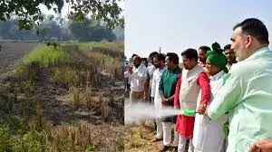 दिल्ली: वायु प्रदूषण रोकने के लिए सरकार सख्त, पराली गलाने के लिए खेतों में किया जाएगा बायो डी-कंपोजर का छिड़काव दिल्ली: वायु प्रदूषण रोकने के लिए सरकार सख्त, पराली गलाने के लिए खेतों में किया जाएगा बायो डी-कंपोजर का छिड़काव