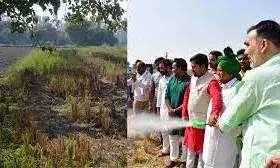 दिल्ली: वायु प्रदूषण रोकने के लिए सरकार सख्त, पराली गलाने के लिए खेतों में किया जाएगा बायो डी-कंपोजर का छिड़काव दिल्ली: वायु प्रदूषण रोकने के लिए सरकार सख्त, पराली गलाने के लिए खेतों में किया जाएगा बायो डी-कंपोजर का छिड़काव