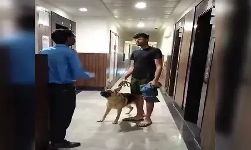 ग्रेटर नोएडा में डॉग बना विवाद: लिफ्ट में कुत्ता ले जाने पर हुई जमकर बहस, वीडियो सोशल मीडिया पर वायरल