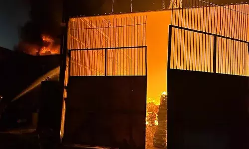 Ghaziabad: केमिकल और गत्ता फैक्टरी में लगी आग, 17 फायर टेंडरों की मदद से पाया काबू Ghaziabad: केमिकल और गत्ता फैक्टरी में लगी आग, 17 फायर टेंडरों की मदद से पाया काबू