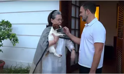 गांधी परिवार में आया नया सदस्य: राहुल गोवा से दिल्ली लेकर लाए और नाम रखा नूरी; देखें सोनिया की प्रतिक्रिया