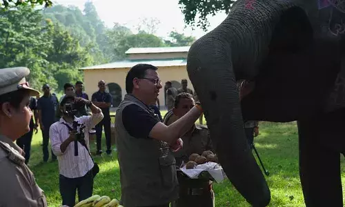 CM Dhami: मुख्यमंत्री ने जिम कॉर्बेट टाइगर रिजर्व में की सफारी, फॉरेस्ट सुरक्षा कर्मियों का बढ़ाया हौसला