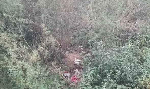 दिल दहला देने वाली घटना: बैग में फिर मिली नवजात बच्ची, तीन दिन पहले बीएचयू परिसर में भी फेंकी गई थी नवजात दिल दहला देने वाली घटना: बैग में फिर मिली नवजात बच्ची, तीन दिन पहले बीएचयू परिसर में भी फेंकी गई थी नवजात
