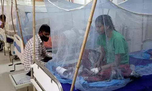 Lucknow Dengue News : लखनऊ में डेंगू के 36 नए मरीज मिले, अस्पतालों में प्लेटलेट्स की मांग बढ़ी