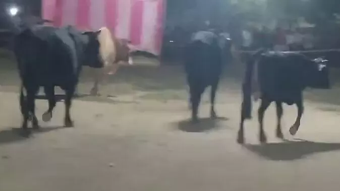 Ghaziabad: रावण दहन से पहले रामलीला मैदान में घुसे सांड, मचाया उत्पात; अखिलेश ने वीडियो शेयर कर सरकार को घेरा Ghaziabad: रावण दहन से पहले रामलीला मैदान में घुसे सांड, मचाया उत्पात; अखिलेश ने वीडियो शेयर कर सरकार को घेरा