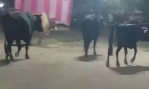 Ghaziabad: रावण दहन से पहले रामलीला मैदान में घुसे सांड, मचाया उत्पात; अखिलेश ने वीडियो शेयर कर सरकार को घेरा Ghaziabad: रावण दहन से पहले रामलीला मैदान में घुसे सांड, मचाया उत्पात; अखिलेश ने वीडियो शेयर कर सरकार को घेरा