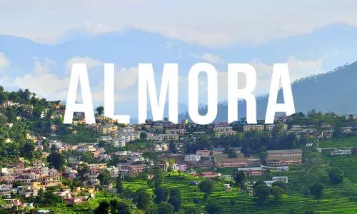 Almora News: करवाचौथ के लिए सजा बाजार, खरीदारों का इंतजार