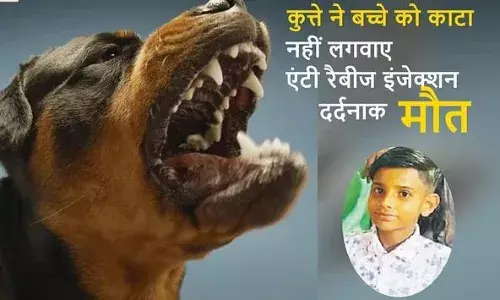 Meerut: कुत्ते के काटने से बच्चे की मौत, नहीं लगवाए थे एंटी रैबीज इंजेक्शन, हालत बिगड़ने पर कमरे में रखा बंद Meerut: कुत्ते के काटने से बच्चे की मौत, नहीं लगवाए थे एंटी रैबीज इंजेक्शन, हालत बिगड़ने पर कमरे में रखा बंद