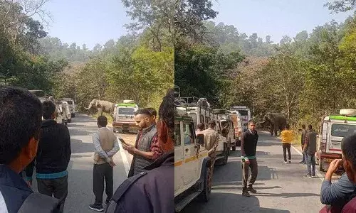 कोटद्वार पौड़ी नेशनल हाईवे पर आ धमका हाथी, राहगीरों में मची अफरा-तफरी, लगा लंबा जाम कोटद्वार पौड़ी नेशनल हाईवे पर आ धमका हाथी, राहगीरों में मची अफरा-तफरी, लगा लंबा जाम