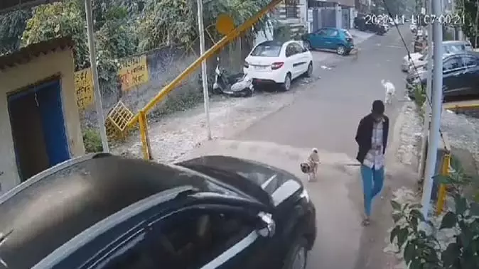 Ghaziabad: कार सवार ने सड़क पर चल रहे कुत्ते को कुचला, सीसीटीवी कैमरे में कैद हुई घटना Ghaziabad: कार सवार ने सड़क पर चल रहे कुत्ते को कुचला, सीसीटीवी कैमरे में कैद हुई घटना