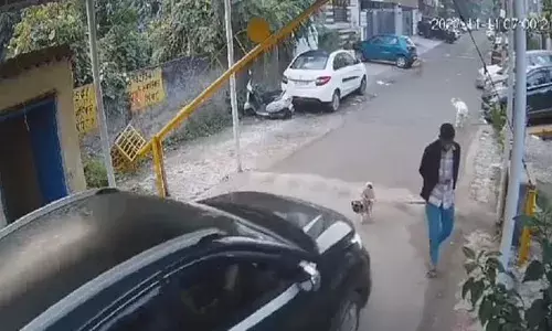 Ghaziabad: कार सवार ने सड़क पर चल रहे कुत्ते को कुचला, सीसीटीवी कैमरे में कैद हुई घटना