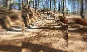 रोबोटिक्स मशीन पहुंची, विशेषज्ञ अर्नोल्ड ने कहा- 41 श्रमिकों को सुरक्षित निकालेंगे