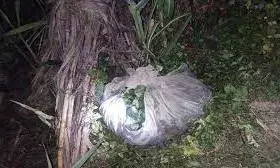 वारदात का फिर वही तरीका, खेत में पड़ी मिली लाश, साड़ी से कसा गया गला |