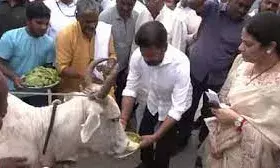 वोटिंग से पहले कांग्रेस प्रदेशाध्यक्ष ने की गाय की पूजा, बोले- हमारे 85 विधायक, सभी CM बनने में सक्षम | वोटिंग से पहले कांग्रेस प्रदेशाध्यक्ष ने की गाय की पूजा, बोले- हमारे 85 विधायक, सभी CM बनने में सक्षम |