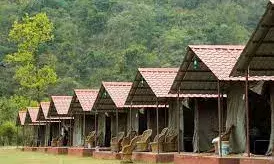 क्रिसमस और थर्टी फर्स्ट के लिए ऋषिकेश तैयार, सजने लगे कैंप, 40 फीसदी बुकिंग फुल