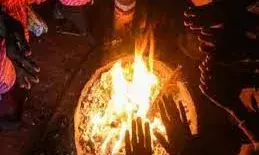 बर्फीली हवाओं से सूरज के तेवर भी ठंडे... पारा तीन डिग्री लुढ़का; दो जनवरी से ऐसा रहेगा मौसम