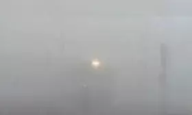 पांच जिलों में घने कोहरे का येलो अलर्ट, जानिए अगले चार दिन कैसा रहेगा मौसम