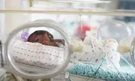 दून अस्पताल में 17 नवजात ने लिया जन्म, कुछ गर्भवतियों ने करवाई प्री प्लांड डिलिवरी दून अस्पताल में 17 नवजात ने लिया जन्म, कुछ गर्भवतियों ने करवाई प्री प्लांड डिलिवरी