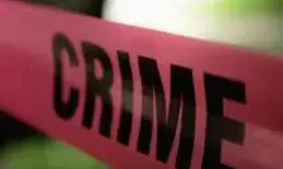 रातभर सरसों के खेत में तड़पता रहा मासूम; भोर में खून से लथपथ पहुंचा घर रातभर सरसों के खेत में तड़पता रहा मासूम; भोर में खून से लथपथ पहुंचा घर