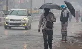 आज पड़ेगी कड़ाके की ठंड, बारिश ने बढ़ाई गलन, कई जिलों में कोहरे और बरसात को लेकर अलर्ट आज पड़ेगी कड़ाके की ठंड, बारिश ने बढ़ाई गलन, कई जिलों में कोहरे और बरसात को लेकर अलर्ट