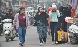 चार राज्यों में शीतलहर और 14 में कोहरा, दो दिन राहत के आसार नहीं; जानें किस राज्य में कैसा रहेगा मौसम