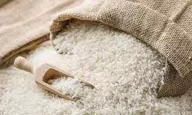 पश्चिम बंगाल में कैसे हुआ राशन घोटाला, ईडी पर हमले की कहानी क्या, इस पर ममता सरकार का क्या दावा? पश्चिम बंगाल में कैसे हुआ राशन घोटाला, ईडी पर हमले की कहानी क्या, इस पर ममता सरकार का क्या दावा?