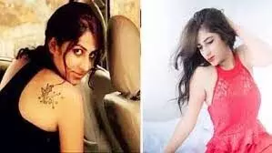 खून सुखाने को सेनेटरी पैड का किया इस्तेमाल, सबूत मिटाने में न छोड़ी कोई कसर खून सुखाने को सेनेटरी पैड का किया इस्तेमाल, सबूत मिटाने में न छोड़ी कोई कसर
