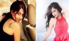 खून सुखाने को सेनेटरी पैड का किया इस्तेमाल, सबूत मिटाने में न छोड़ी कोई कसर