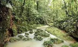 अमेज़ॅन वर्षावन में 3,000 साल पुराने शहर का पता लगा