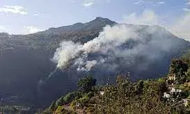 उत्तराखंड में बारिश नहीं होने से सर्दियों में भी धधक रहे जंगल, मिले एक हजार से अधिक फायर अलर्ट